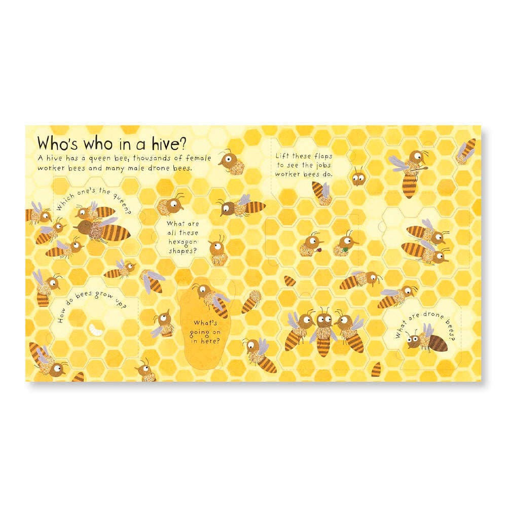 First Questions and Answers: Why do we need bees?