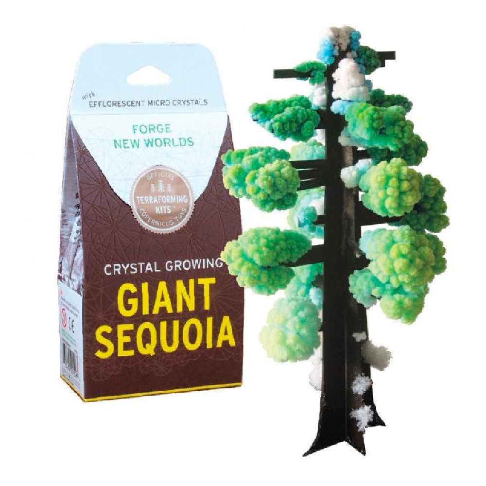 Crystal Growing: GIant Sequoia