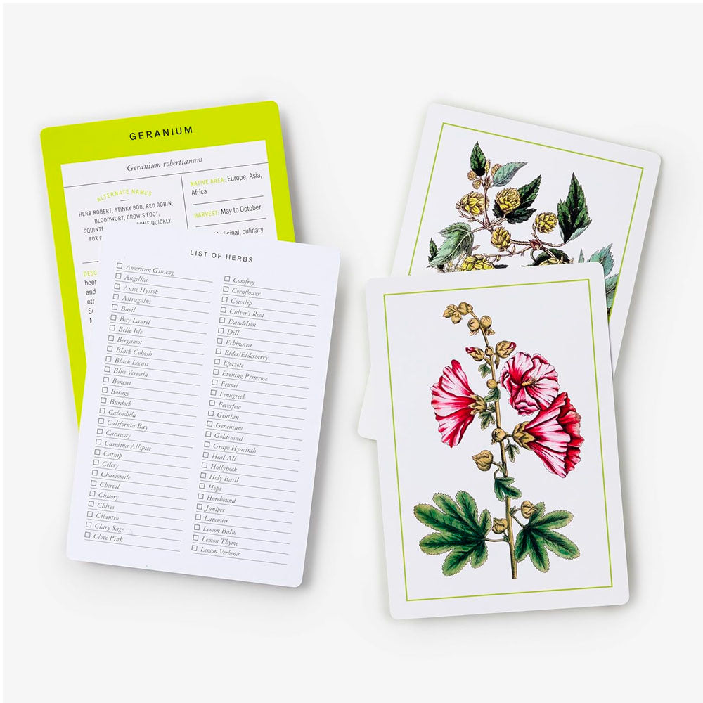 New York Botanical Garden Herb Identification Flashcards: 100 Common Herbs of North America