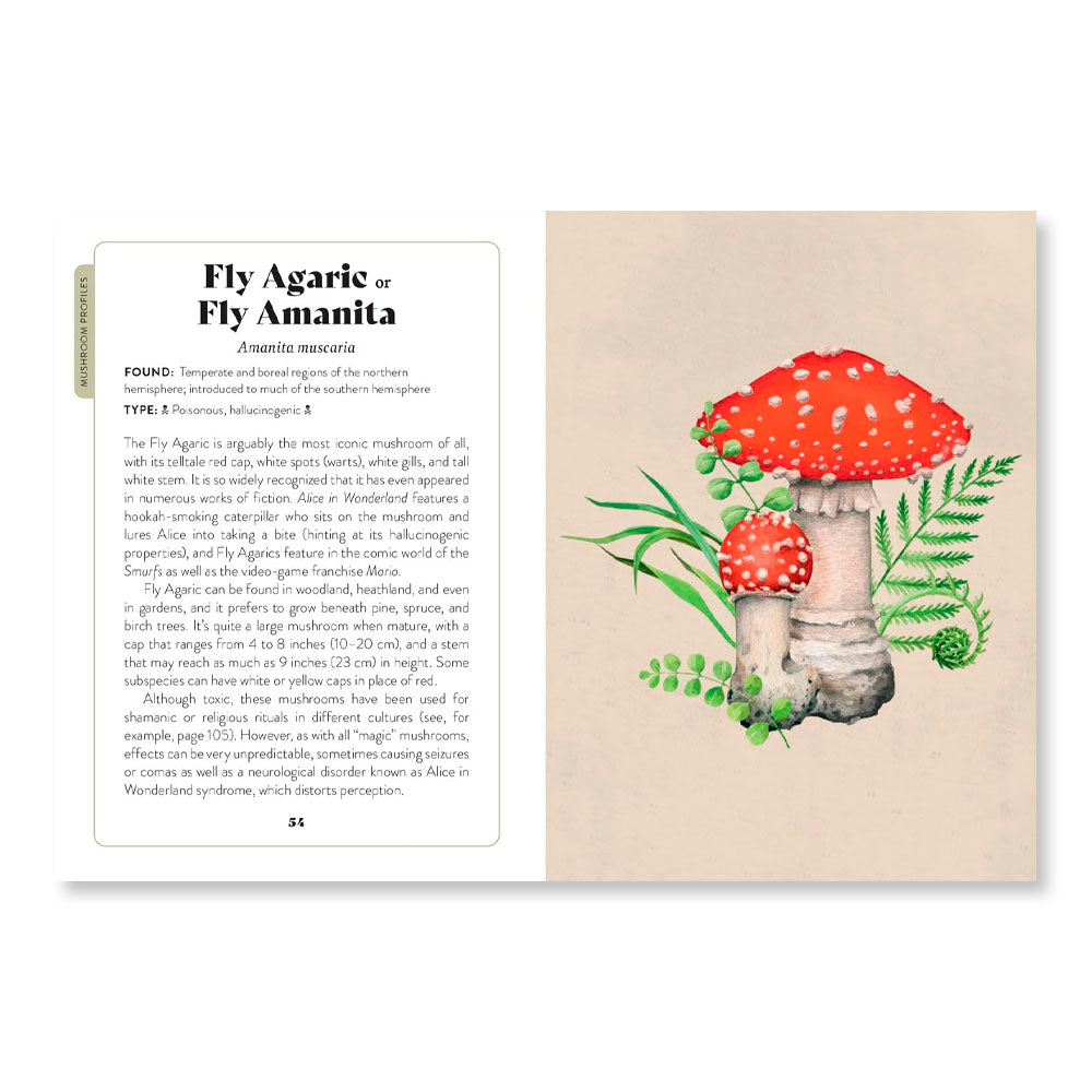 Mushroom Miscellany: An Illustrated Guide
