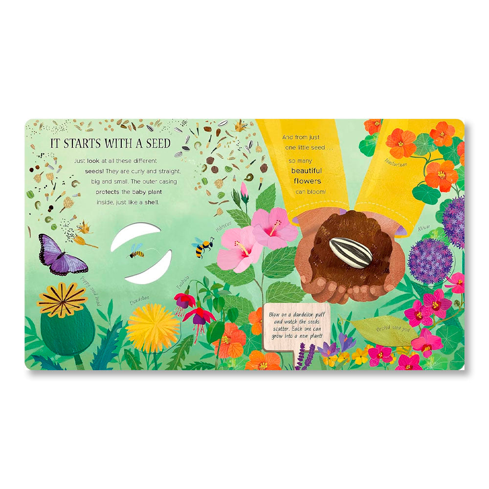 One Little Seed: Exploring Nature for Curious Kids
