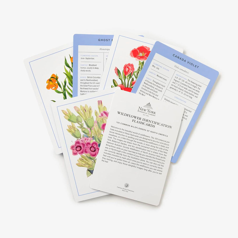 New York Botanical Garden Wildflower Identification Flashcards: 100 Common Wildflowers of North America
