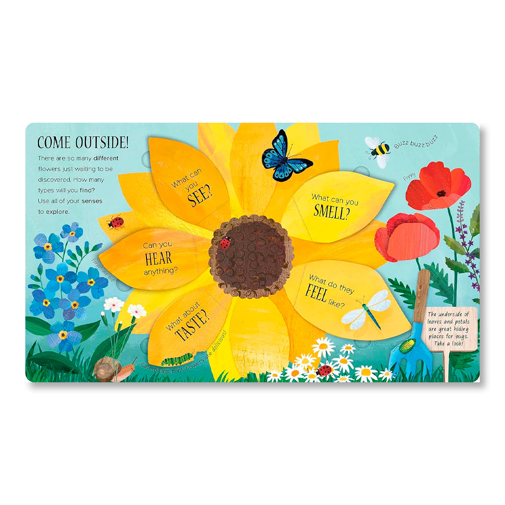 One Little Seed: Exploring Nature for Curious Kids