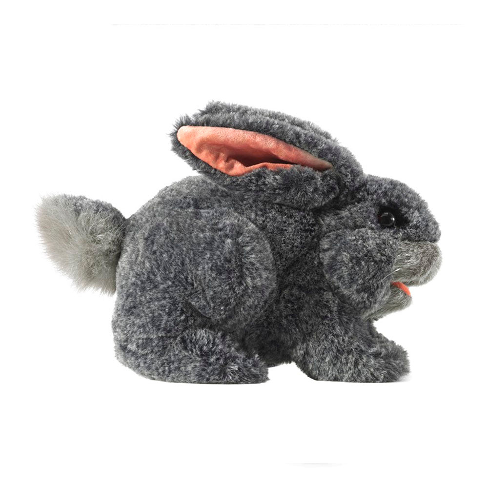 Gray Bunny Rabbit