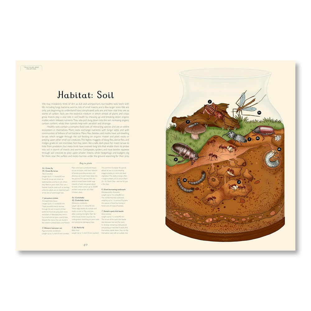 Insectarium: Welcome to the Museum