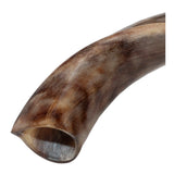 Yemenite Kudu Shofar