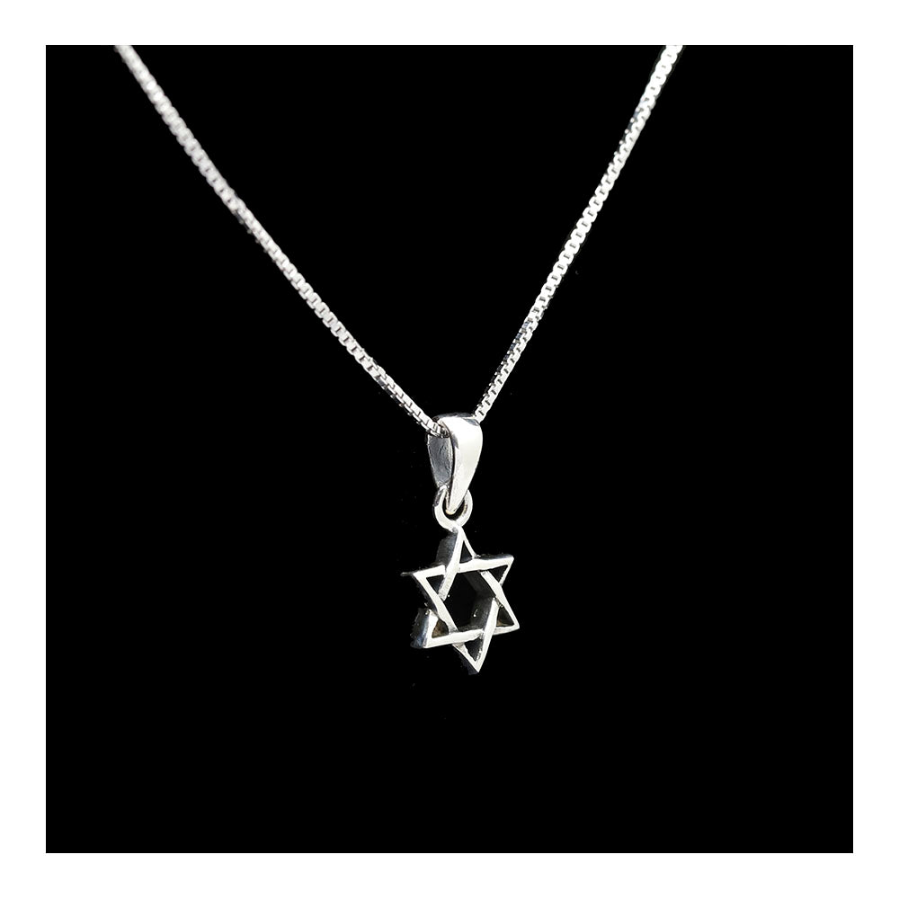 Sterling Star of David Necklace