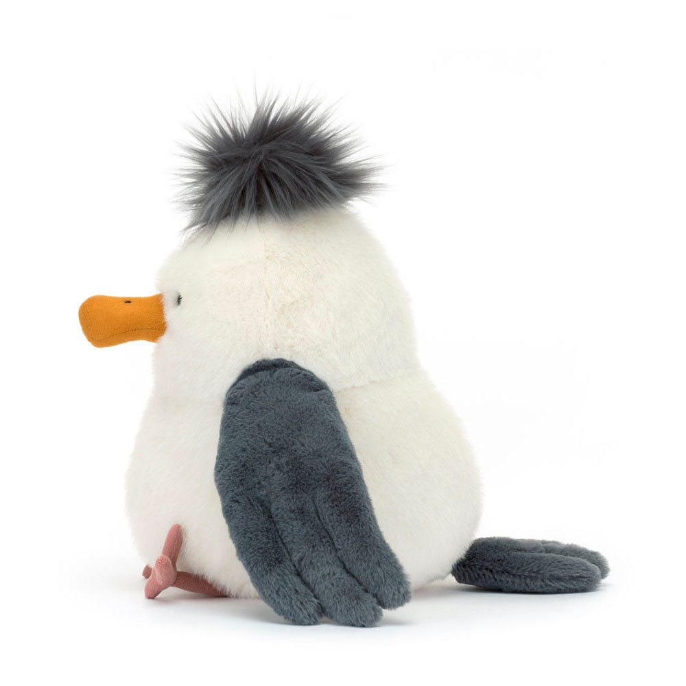 Chip Seagull