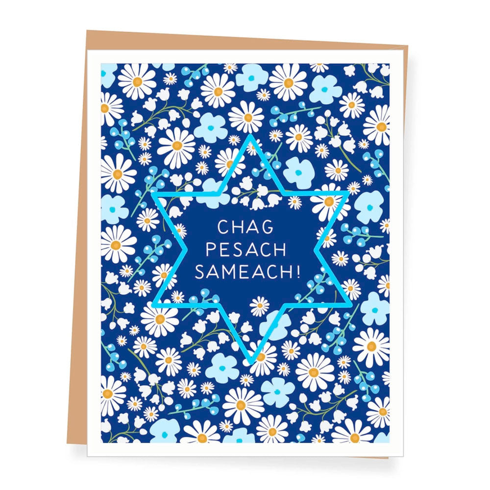 Chag Pesach Sameach Passover Greeting Card