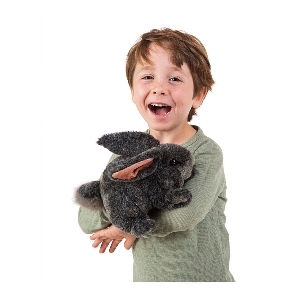 Gray Bunny Rabbit