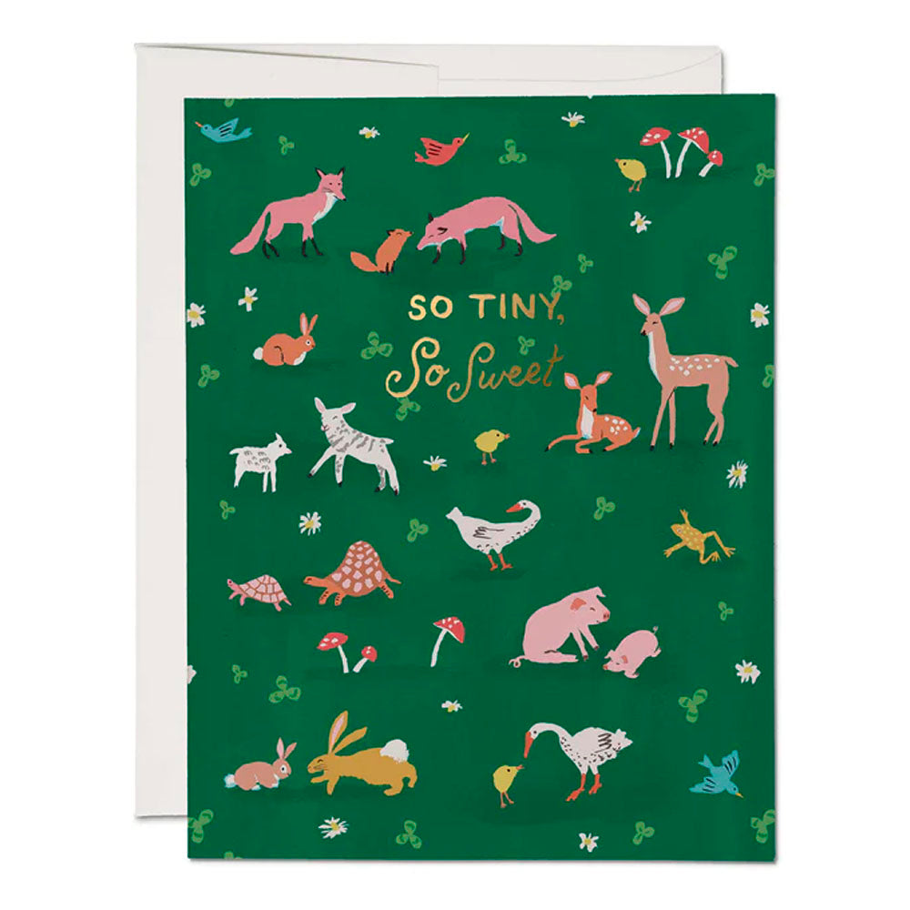 Tiny Animals Baby Greeting Cardi