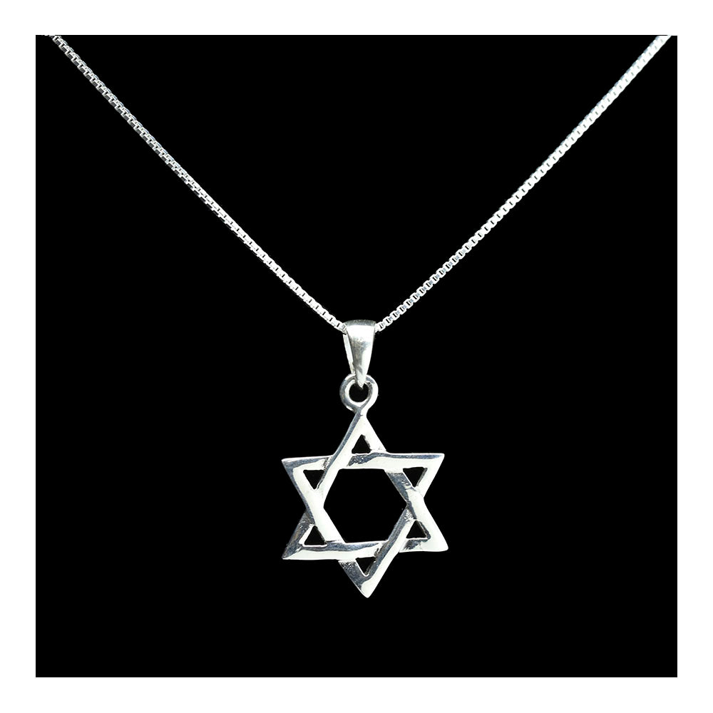 Sterling Woven Star of David Necklace