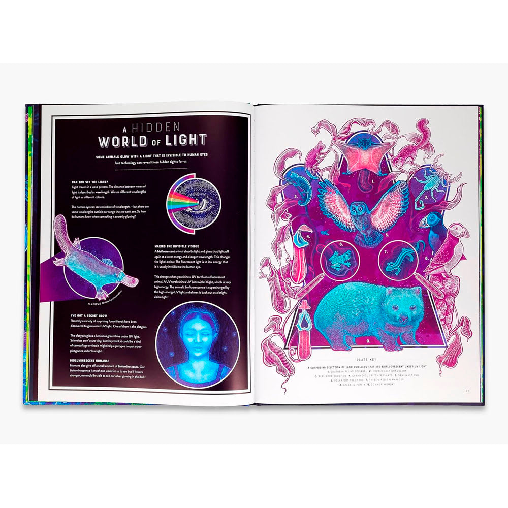 Glow: The Wild Wonders of Bioluminescence