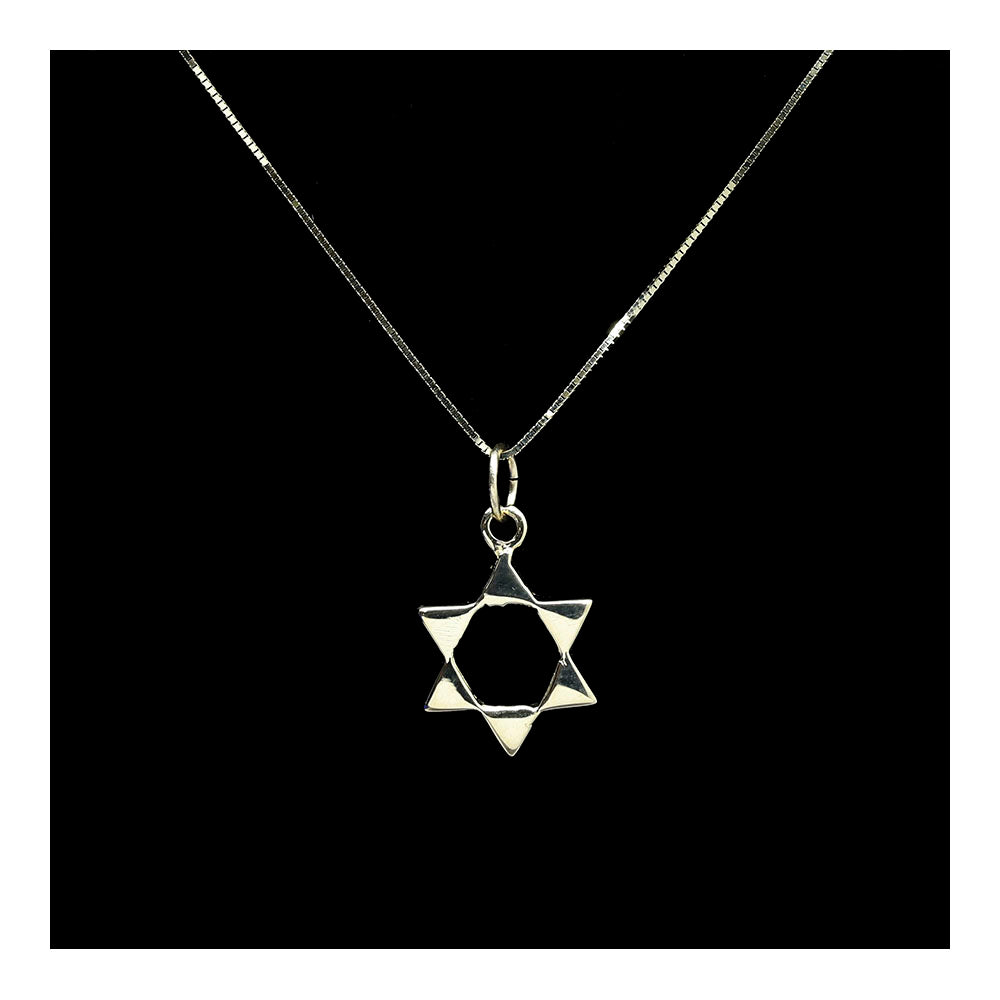 Open Center Star of David 14K Gold Necklace