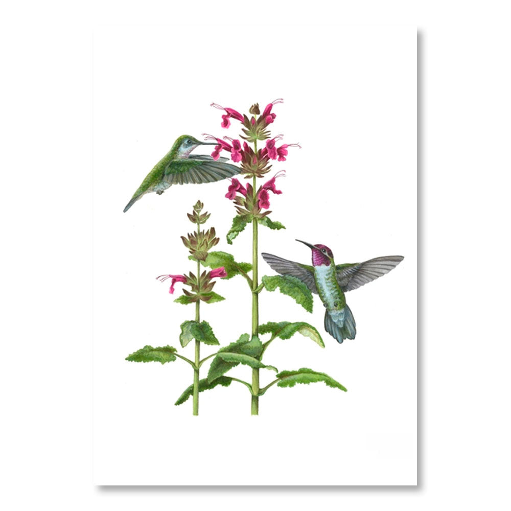 Erin E. Hunter: Pollinators Boxed Notecard Assortment