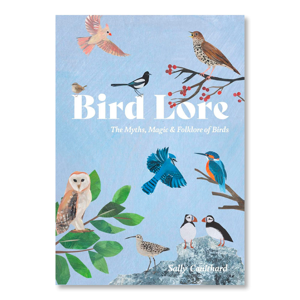 Bird Lore: The Myths, Folklore and Meaning of Birds