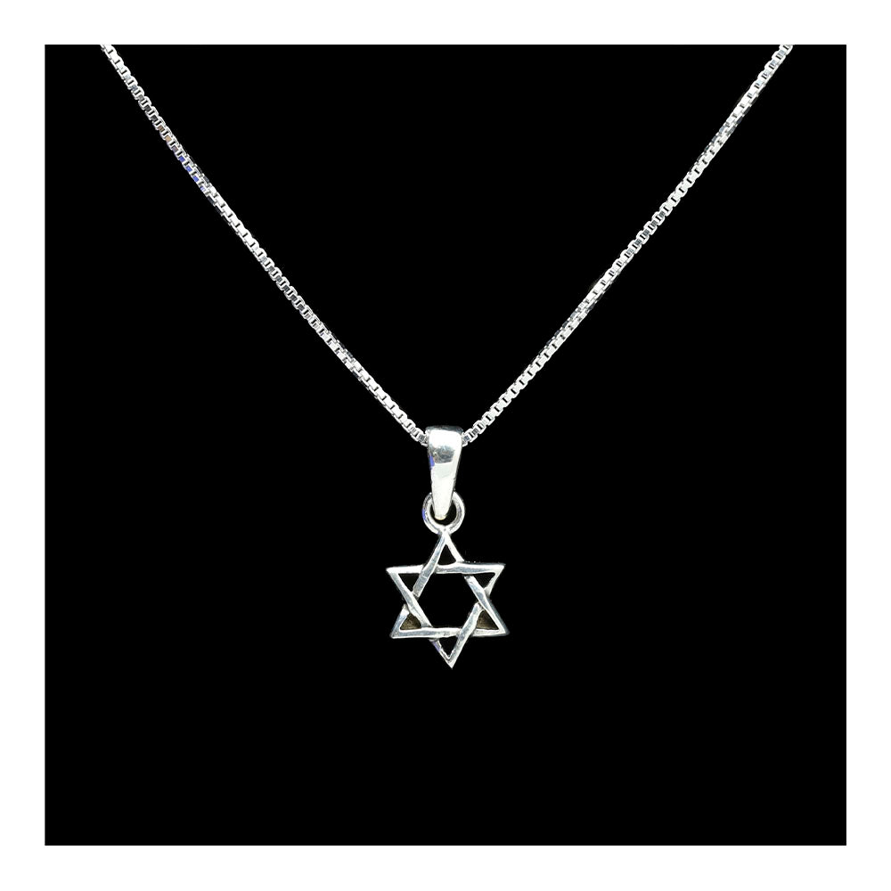 Sterling Star of David Necklace