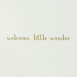 Baby Bunny Greeting Card