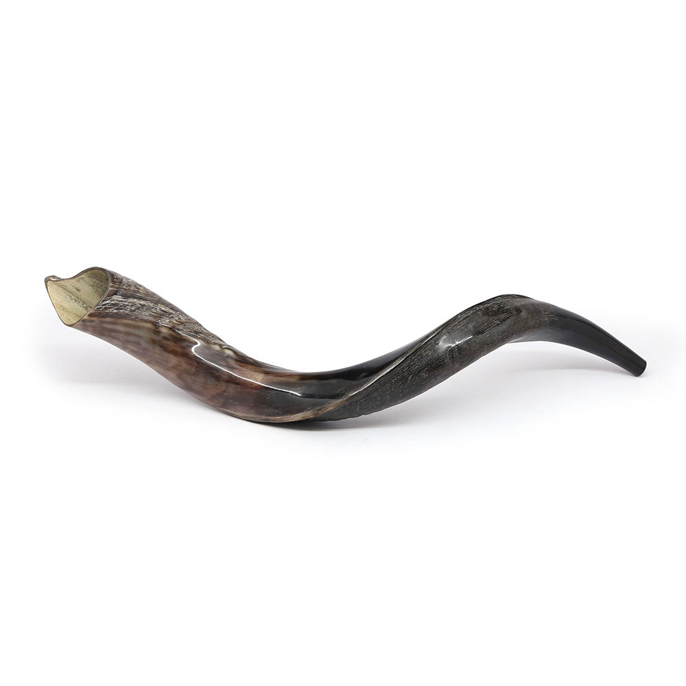 Yemenite Shofar