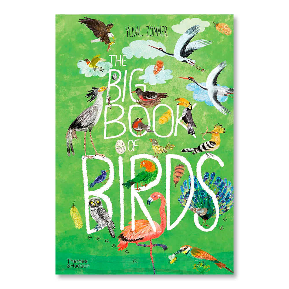 The Big Book of Birds
