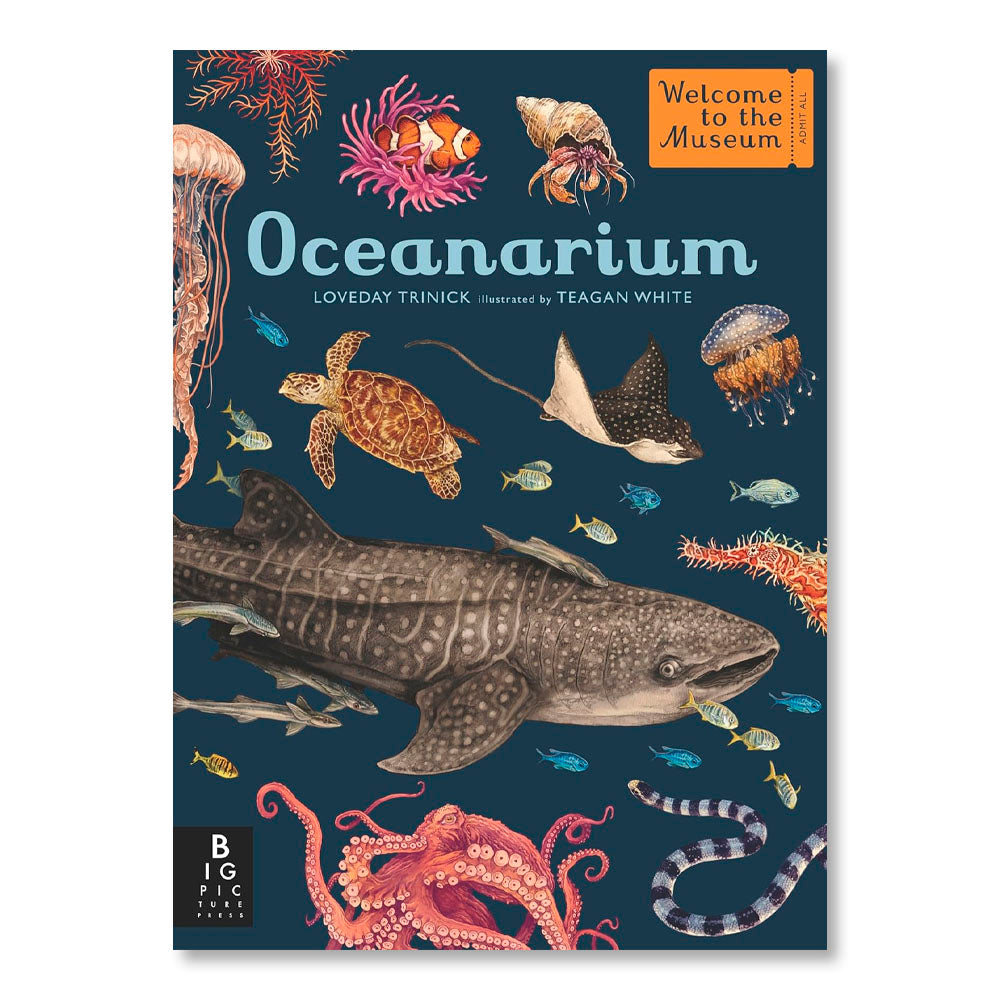 Oceanarium: Welcome to the Museum