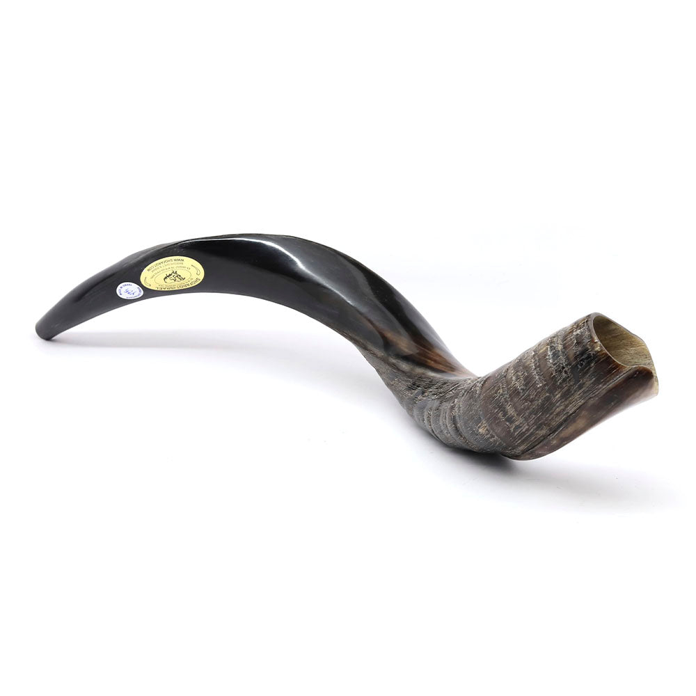 Yemenite Shofar