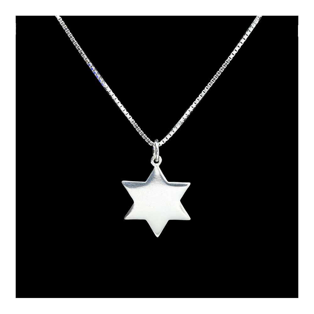 Simple Sterling Star of David Necklace