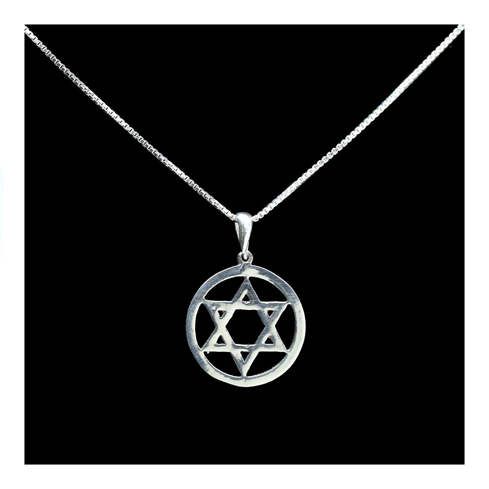 Sterling Encricled Star of David Necklace