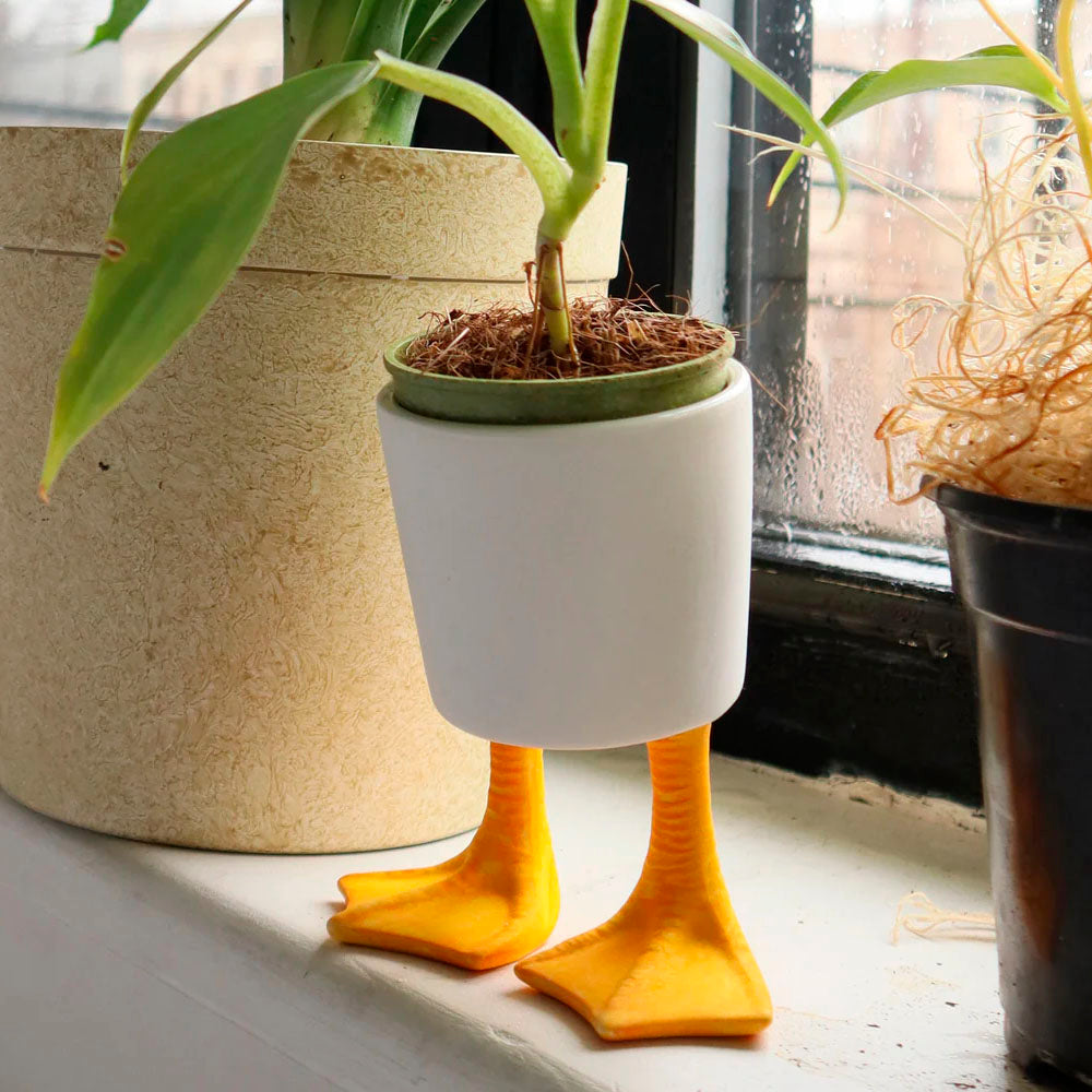 Large Duck Feet Planter