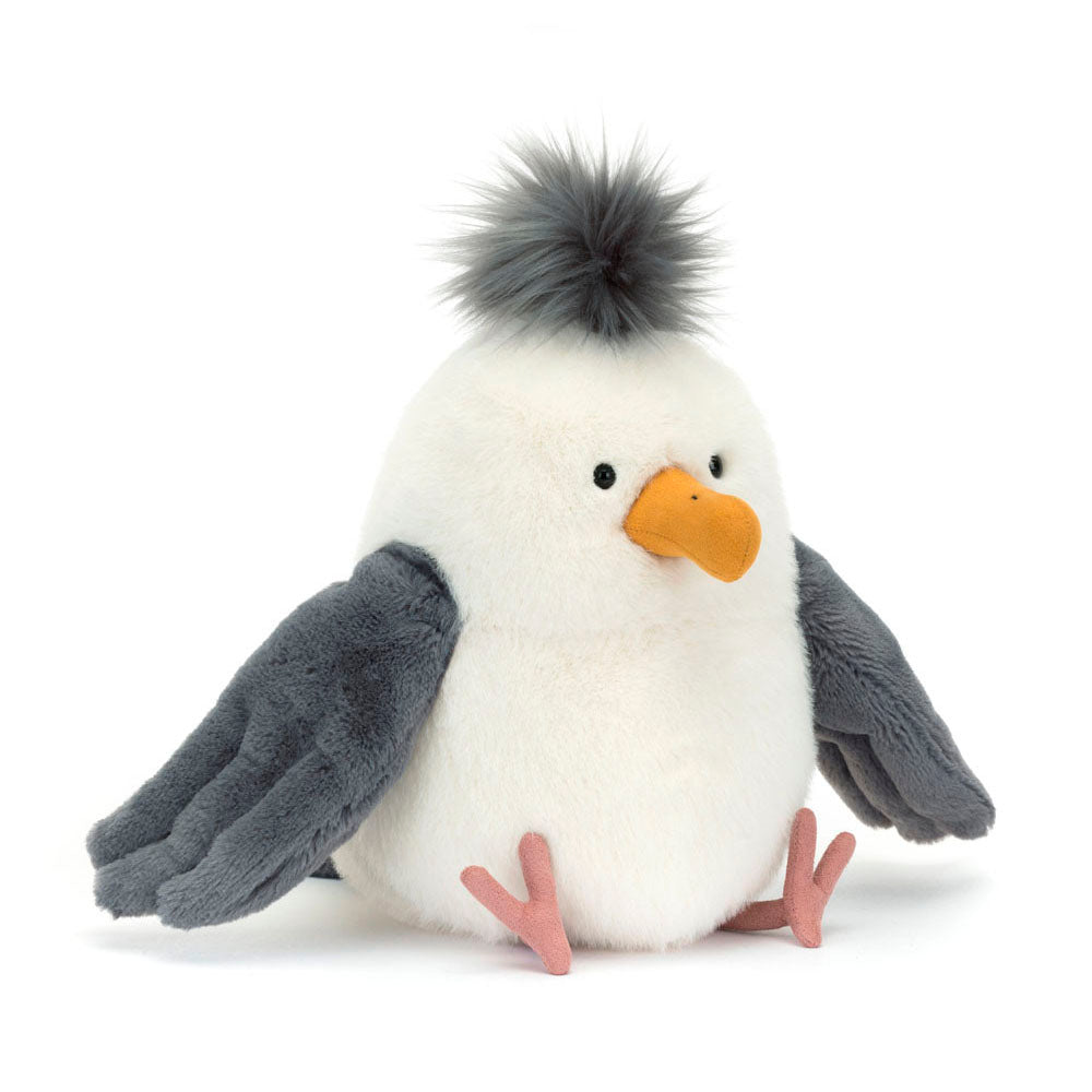 Chip Seagull