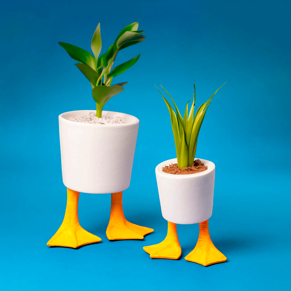Small Duck Feet Planter