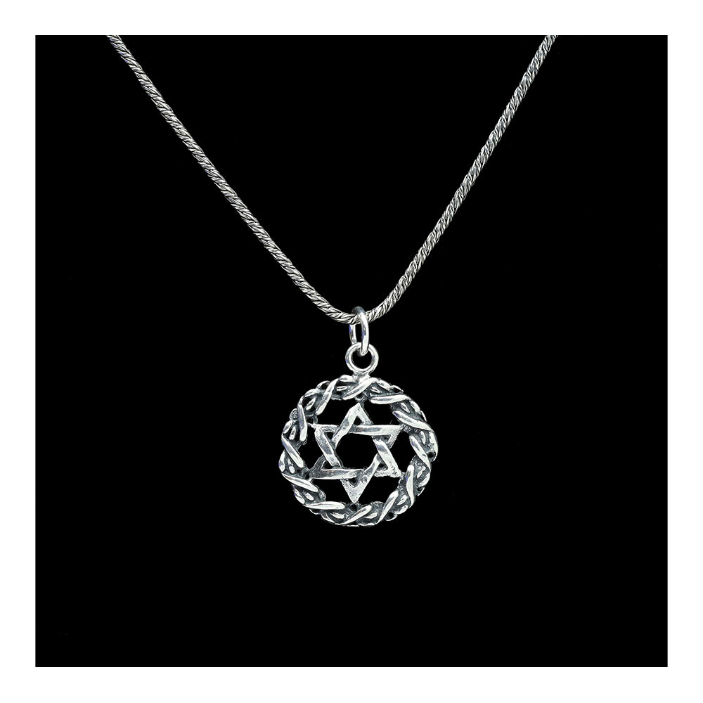 Star of David in Twist Sterling Necklace