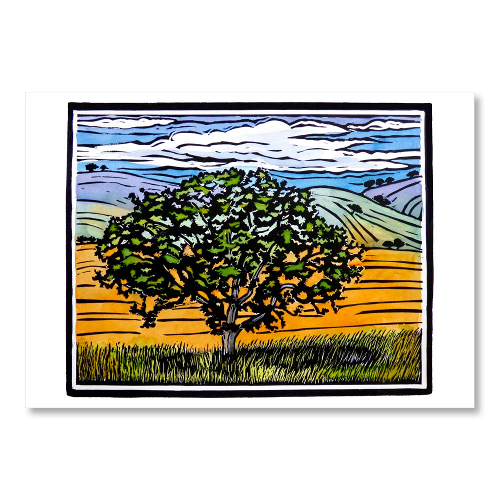 Molly Hashimoto: Trees Boxed Notecard Assortment