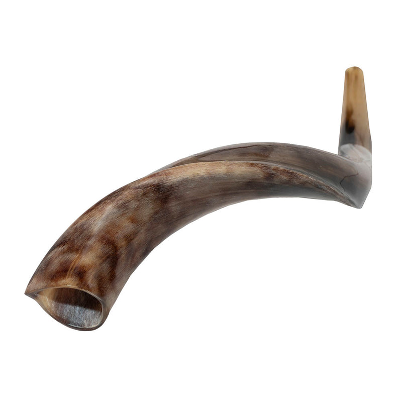 Yemenite Kudu Shofar