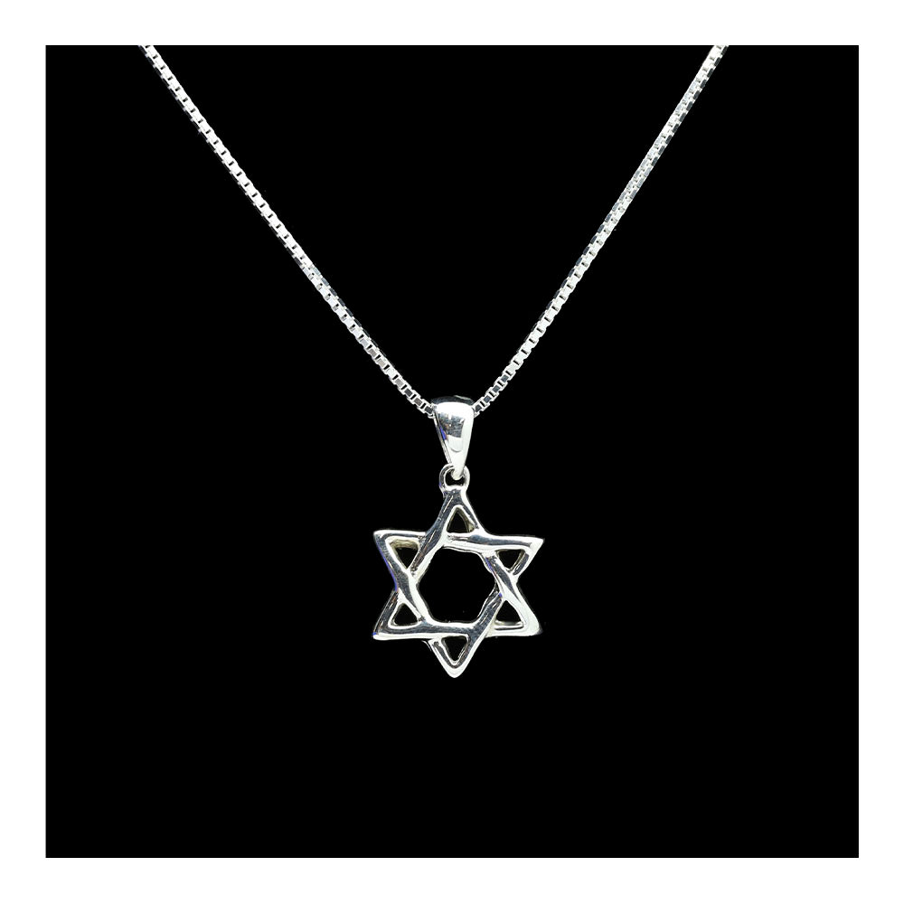 Simple Sterling Woven Star of David Necklace