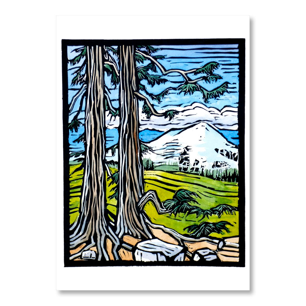 Molly Hashimoto: Trees Boxed Notecard Assortment