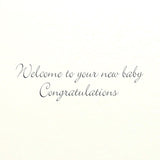 Stork Delivery Greeting Card
