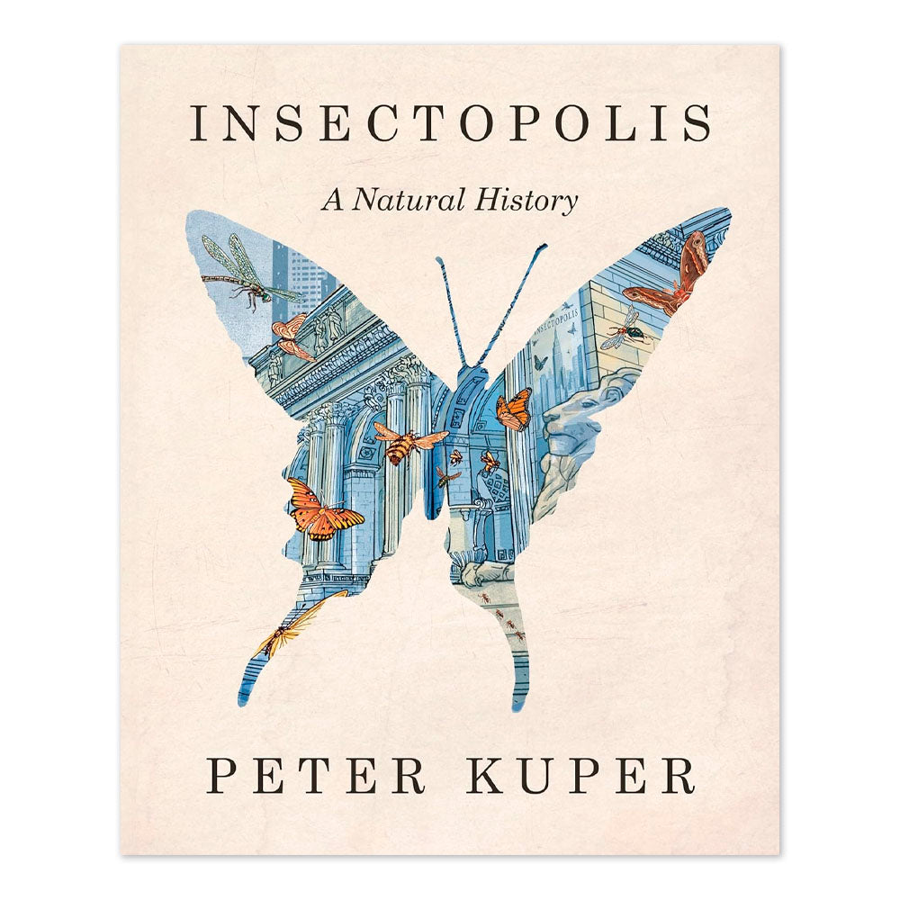Insectopolis: A Natural History