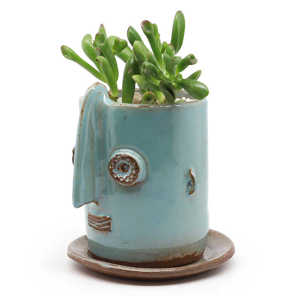 Ceramic Face Planter
