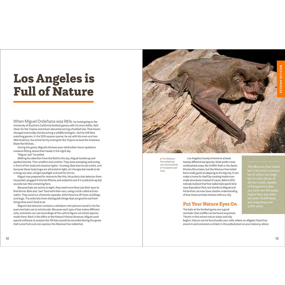 Wild LA: Explore the Amazing Nature in and Around Los Angeles