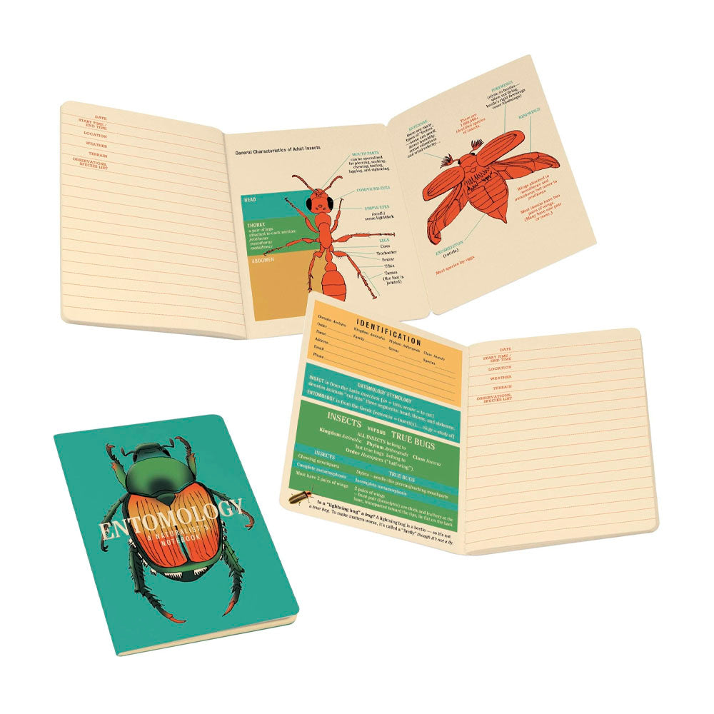 Insect (Entomology)  Notebook