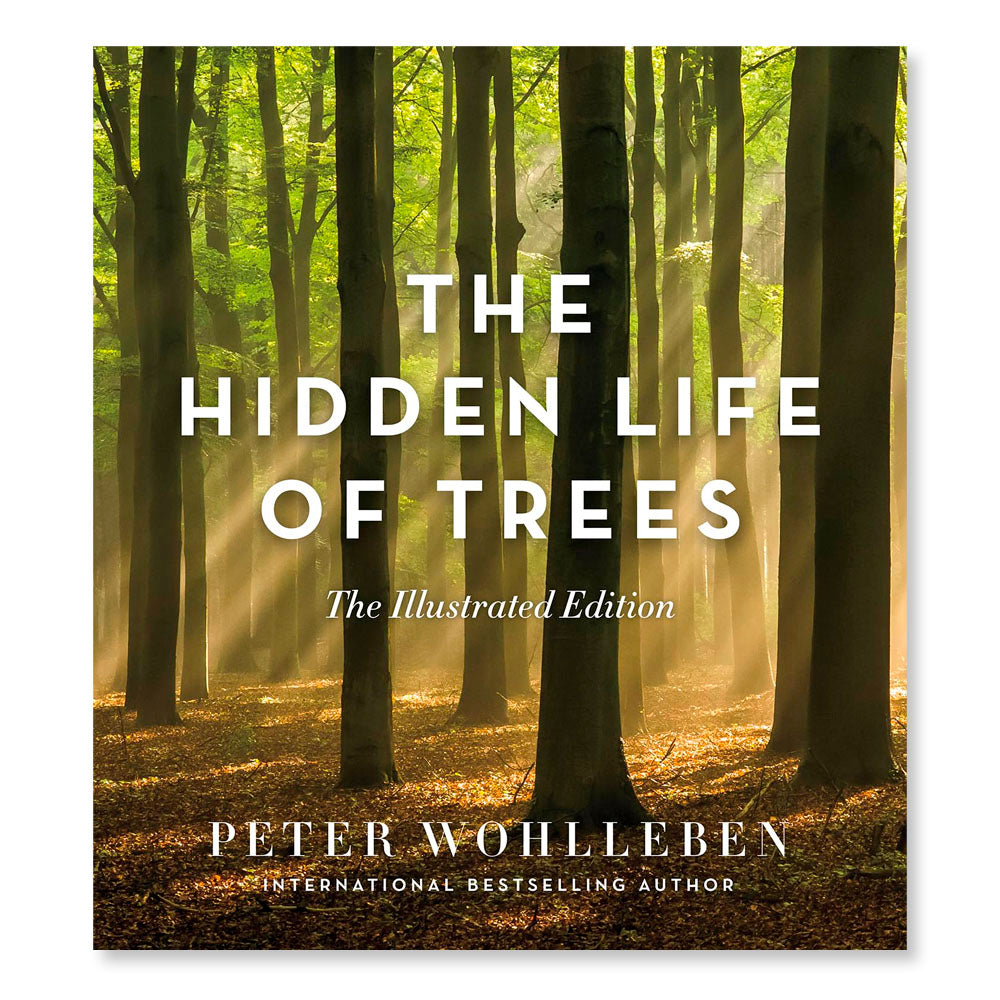 The Hidden Life of Trees: The Illustrated Edition