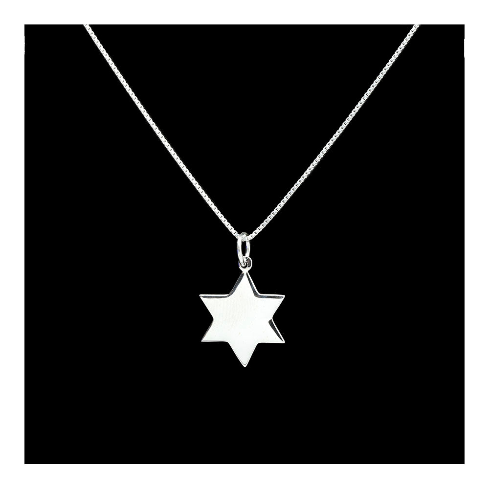 Small Simple Sterling Star of David Necklace