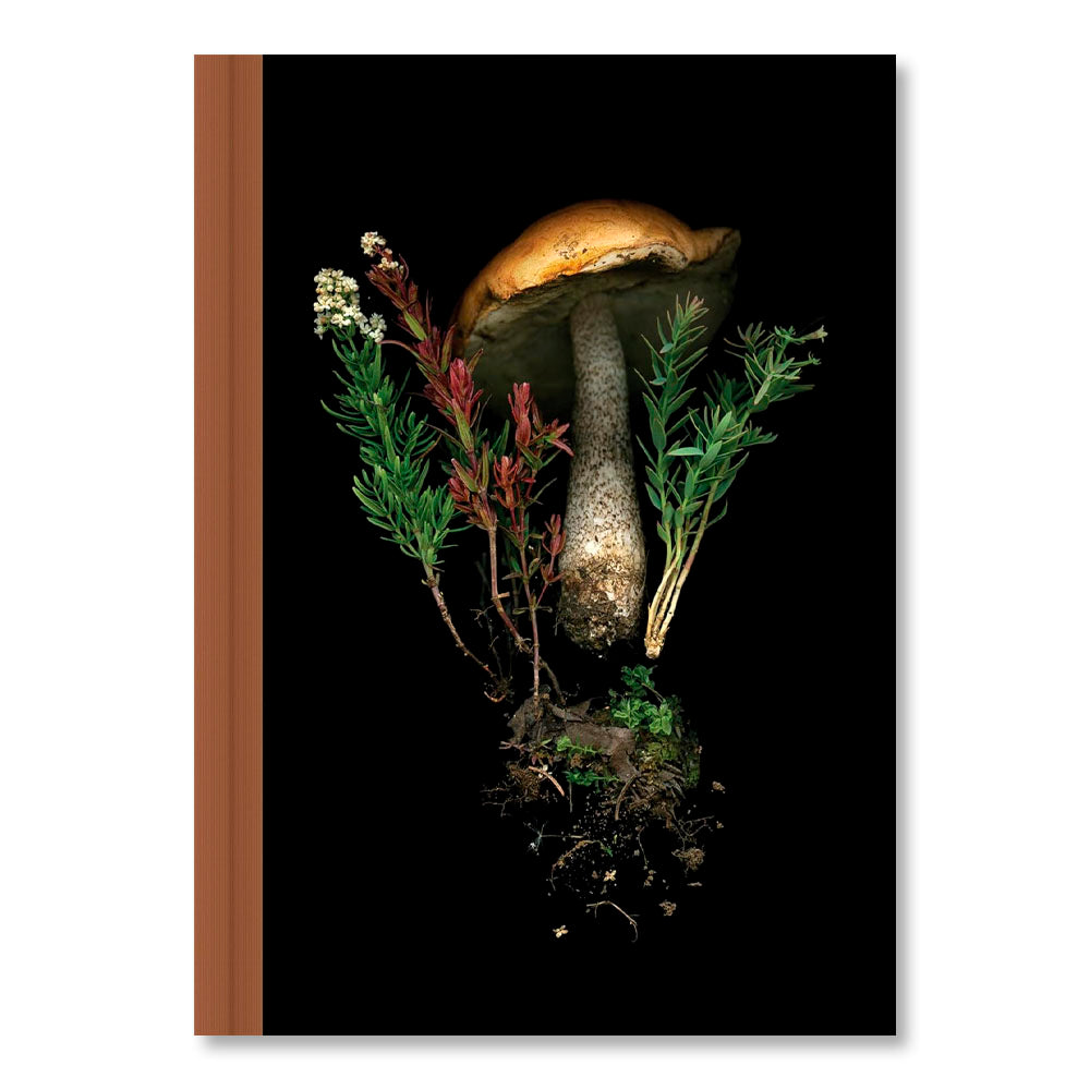 Deep Dark Forest Mushroom Journal
