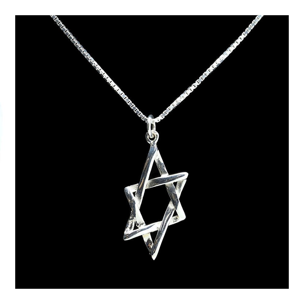 Sterling Large Star of David Necklace