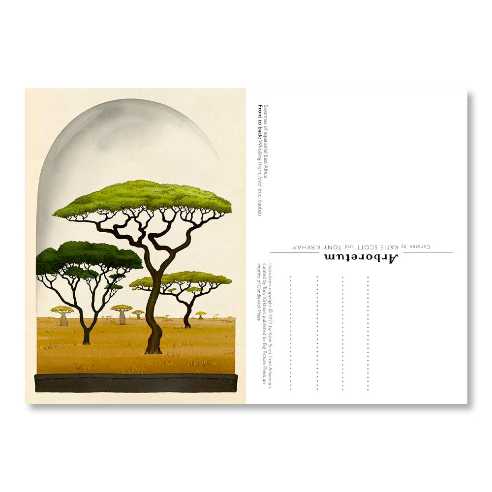 Arboretum Postcard Box Set (Welcome to the Museum)