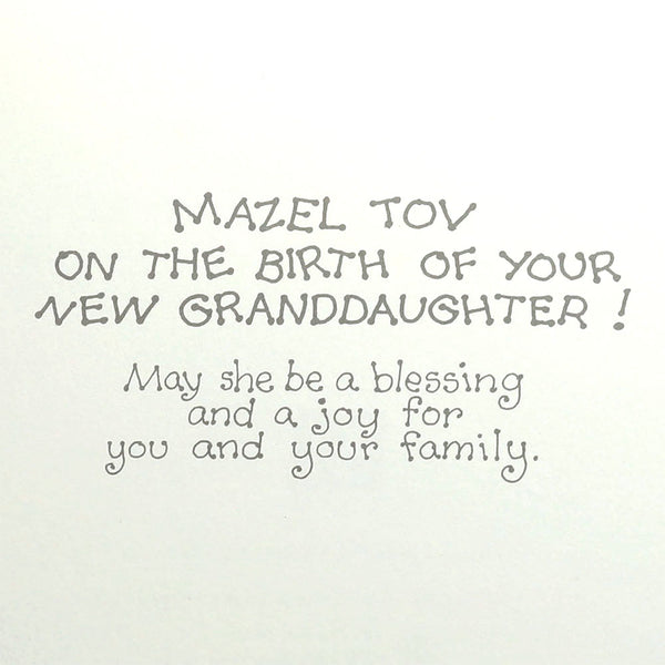 Baby Granddaughter Greeting Card