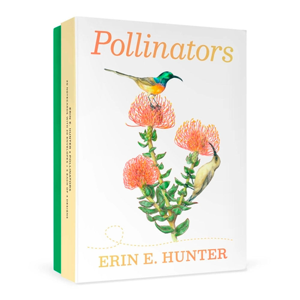 Erin E. Hunter: Pollinators Boxed Notecard Assortment