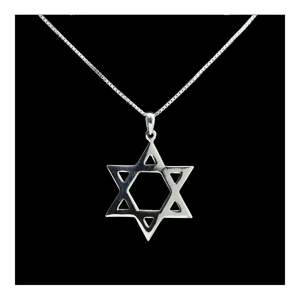 Sterling Star of David Necklace