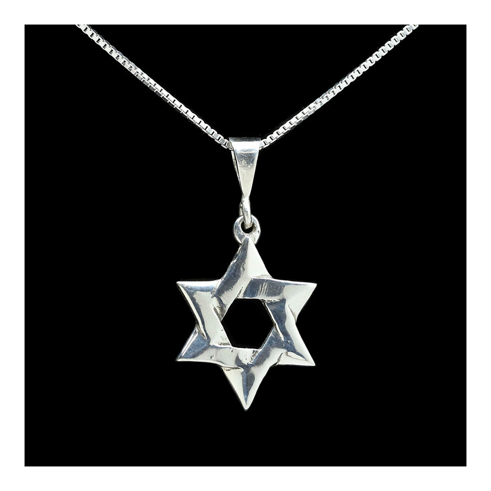 Sterling Woven Star of David Necklace